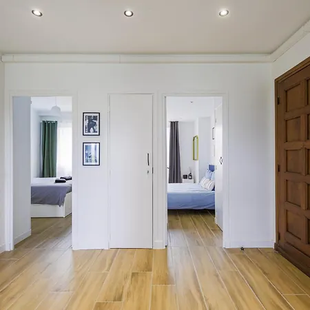 T4 Rénové Vue Montagne Hyper Centre 3 Climatisation Appartamento Grenoble