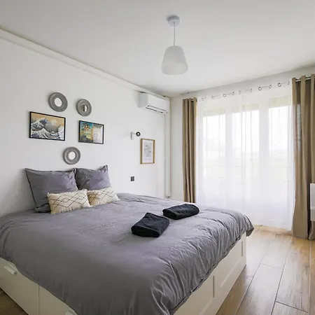 Appartement T4 Rénové Vue Montagne Hyper Centre 3 Climatisation Grenoble