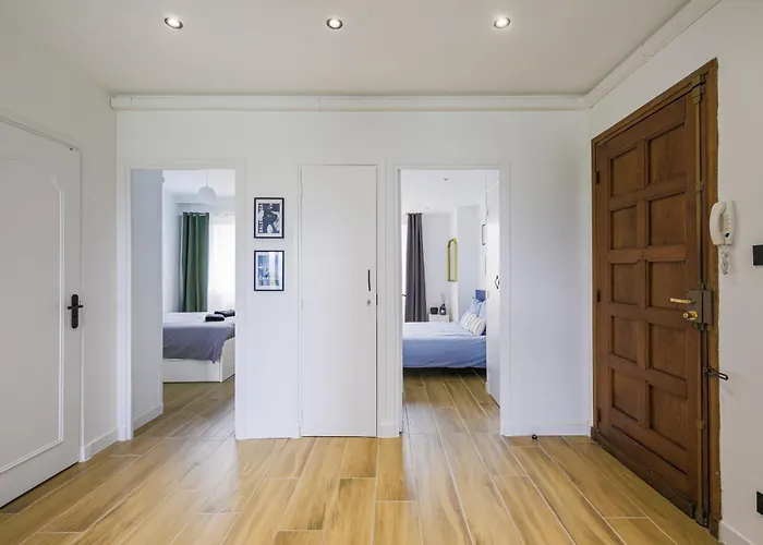 T4 Rénové Vue Montagne Hyper Centre 3 Climatisation Appartement Grenoble