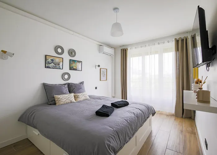 Appartement T4 Rénové Vue Montagne Hyper Centre 3 Climatisation Grenoble