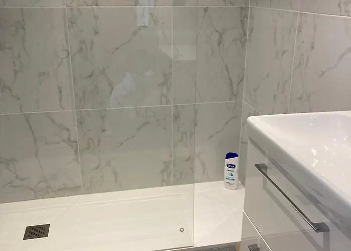 T4 Rénové Vue Montagne Hyper Centre 3 Climatisation Grenoble